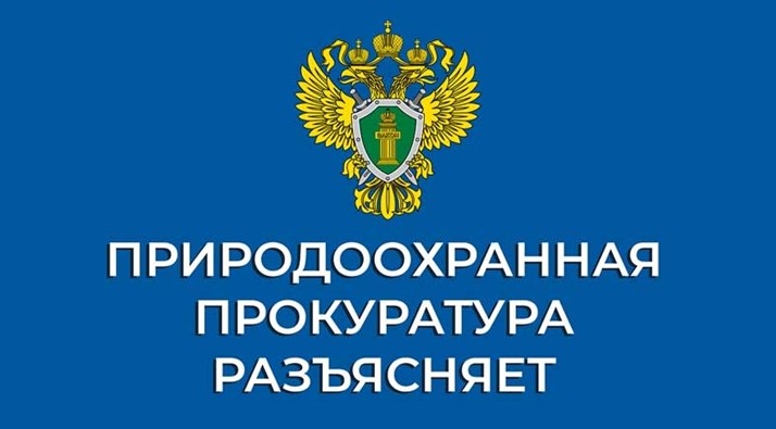 Архангельская межрайонная природоохранная прокуратура разъясняет.