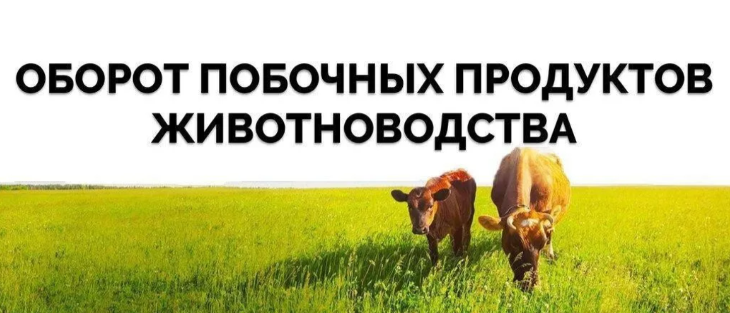 Побочные продукты животноводства.