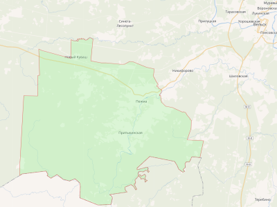 Сельское поселение Пежемское.