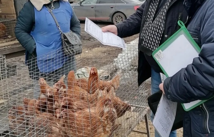 Не приобретайте животных и птиц в местах несанкционированной торговли.. Не приобретайте животных и птиц в местах несанкционированной торговли..