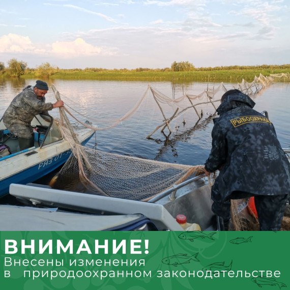 Информация от Архангельской межрайонной природоохранной прокуратуры.. Информация от Архангельской межрайонной природоохранной прокуратуры..