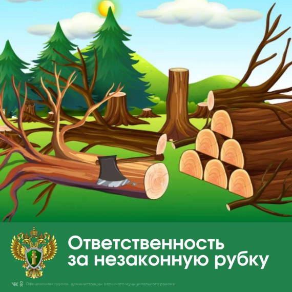 Прокуратура Вельского района информирует. Прокуратура Вельского района информирует.