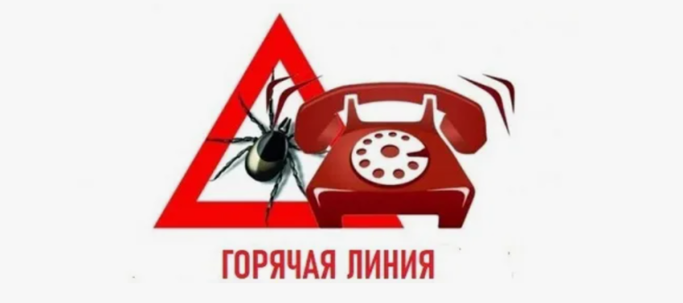Горячая линия. Горячая линия.